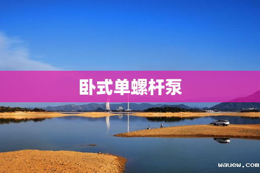 卧式单螺杆泵 卧式单螺杆泵