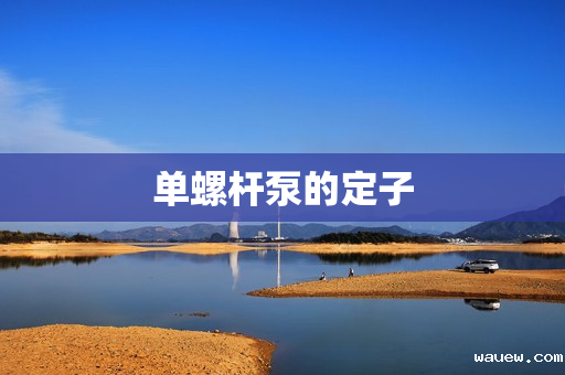 单螺杆泵的定子 单螺杆泵的定子