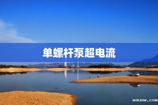 单螺杆泵超电流 单螺杆泵超电流