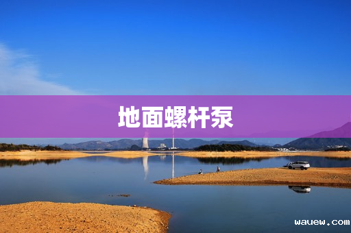 地面螺杆泵 地面螺杆泵