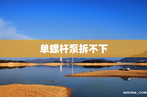 单螺杆泵拆不下 单螺杆泵拆不下