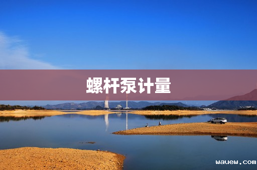 螺杆泵计量 螺杆泵计量