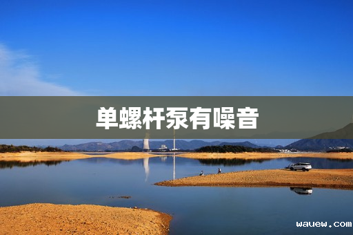 单螺杆泵有噪音 单螺杆泵有噪音