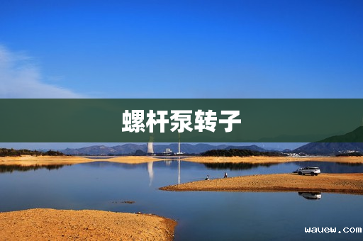 螺杆泵转子 螺杆泵转子