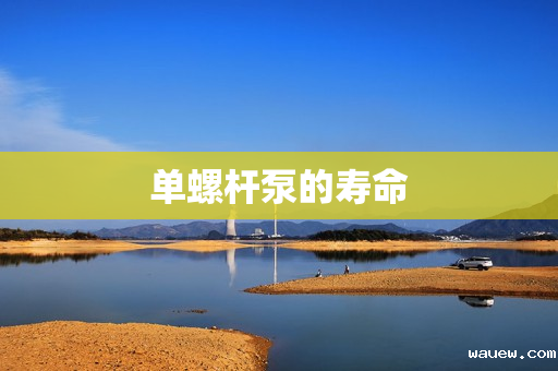 单螺杆泵的寿命 单螺杆泵的寿命