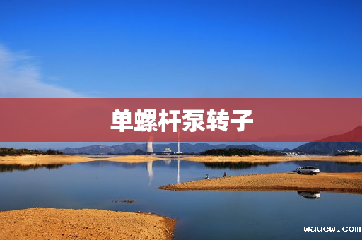 单螺杆泵转子 单螺杆泵转子