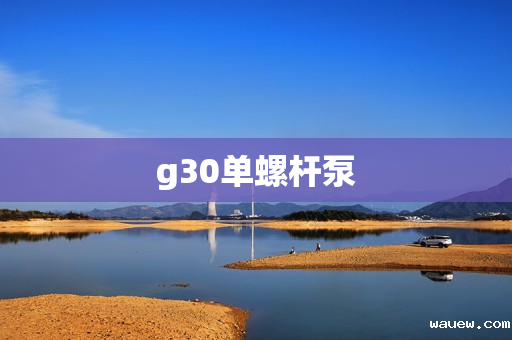 g30单螺杆泵 g30单螺杆泵