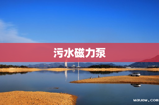 污水磁力泵 污水磁力泵