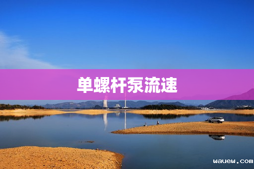 单螺杆泵流速 单螺杆泵流速