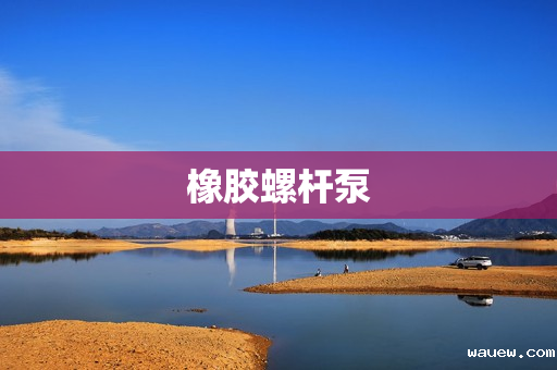 橡胶螺杆泵 橡胶螺杆泵