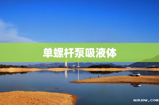 单螺杆泵吸液体 单螺杆泵吸液体
