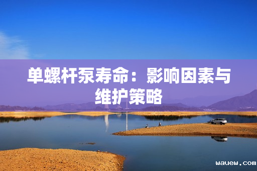 单螺杆泵寿命:影响因素与维护策略 单螺杆泵寿命:影响因素与维护策略