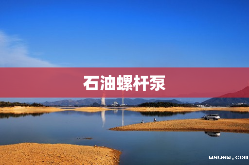 石油螺杆泵 石油螺杆泵