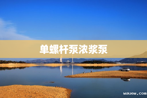 单螺杆泵浓浆泵 单螺杆泵浓浆泵