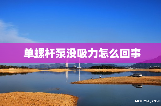 单螺杆泵没吸力怎么回事 单螺杆泵没吸力怎么回事