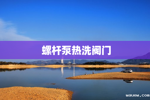 螺杆泵热洗阀门 螺杆泵热洗阀门