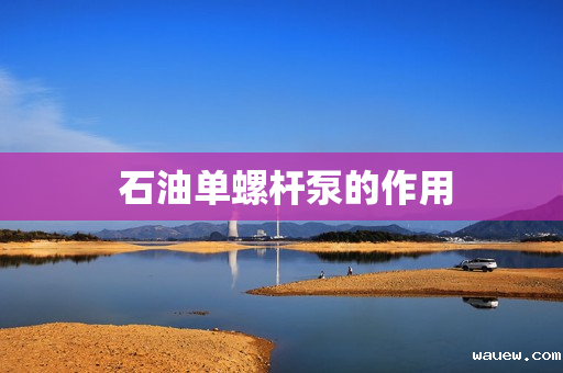 石油单螺杆泵的作用 石油单螺杆泵的作用
