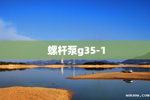 螺杆泵g35-1 螺杆泵g35-1