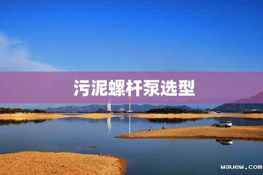 污泥螺杆泵选型 污泥螺杆泵选型