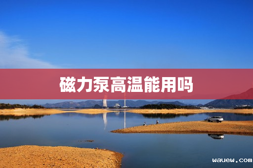磁力泵高温能用吗 磁力泵高温能用吗