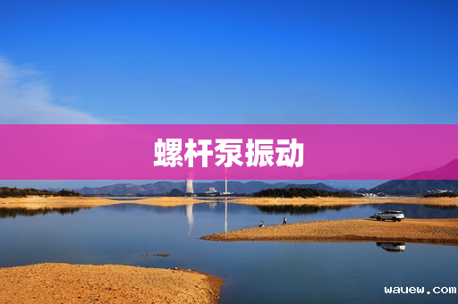 螺杆泵振动 螺杆泵振动