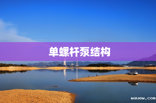 单螺杆泵结构 单螺杆泵结构