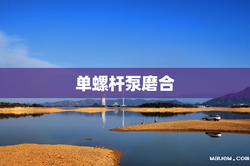 单螺杆泵磨合 单螺杆泵磨合