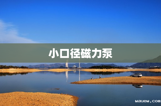 小口径磁力泵 小口径磁力泵