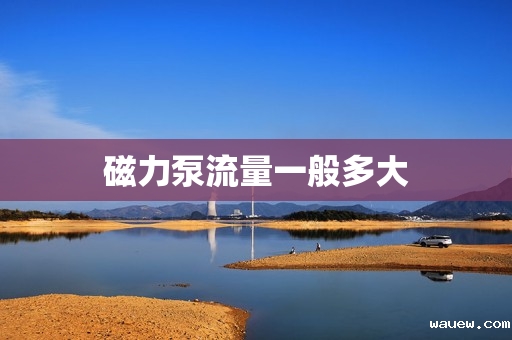 磁力泵流量一般多大 磁力泵流量一般多大