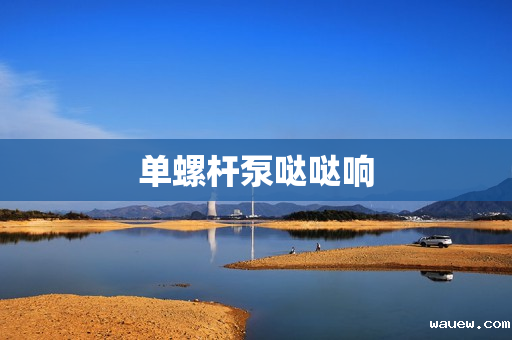 单螺杆泵哒哒响 单螺杆泵哒哒响