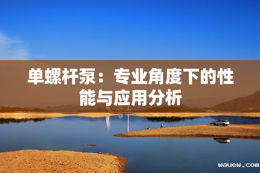 单螺杆泵:专业角度下的性能与应用分析 单螺杆泵:专业角度下的性能与应用分析