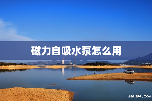 磁力自吸水泵怎么用 磁力自吸水泵怎么用