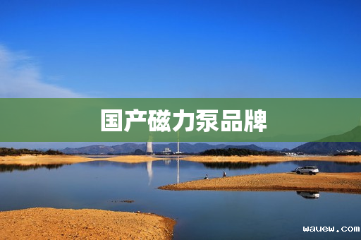 国产磁力泵品牌 国产磁力泵品牌