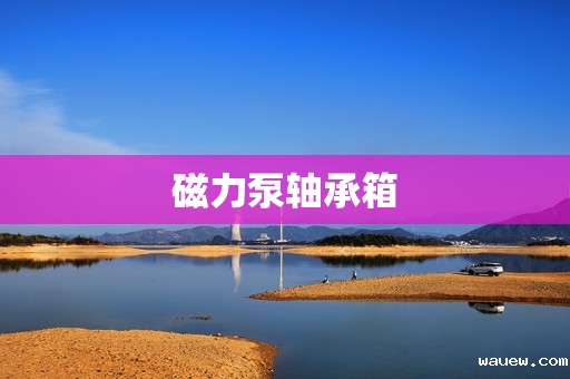 磁力泵轴承箱 磁力泵轴承箱