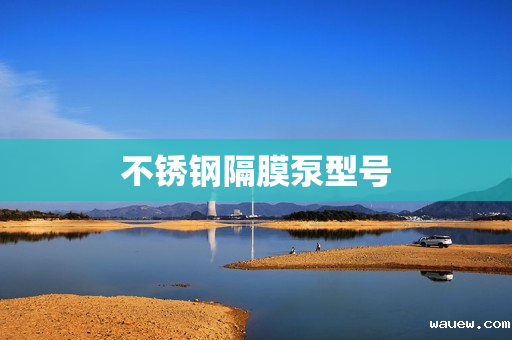 不锈钢隔膜泵型号 不锈钢隔膜泵型号