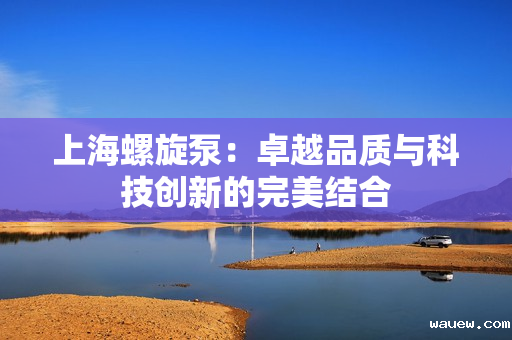 上海螺旋泵:卓越品质与科技创新的完美结合 上海螺旋泵:卓越品质与科技创新的完美结合