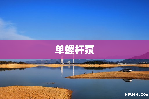 单螺杆泵 单螺杆泵