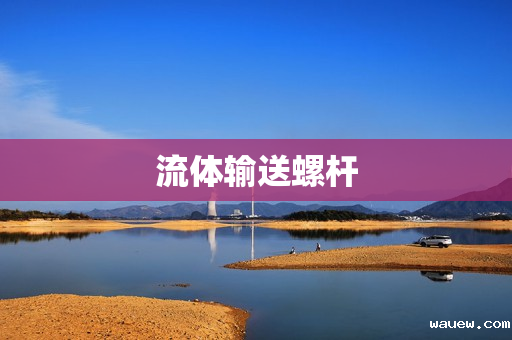 流体输送螺杆 流体输送螺杆