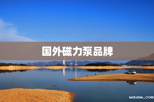 国外磁力泵品牌 国外磁力泵品牌