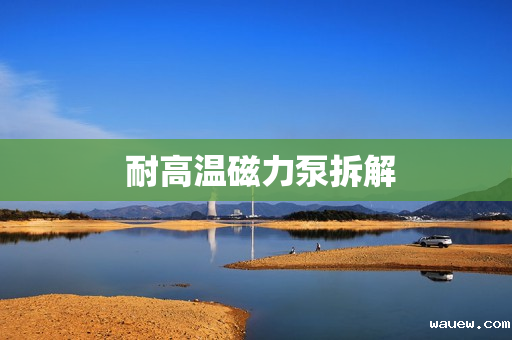 耐高温磁力泵拆解 耐高温磁力泵拆解