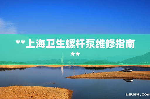 **上海卫生螺杆泵维修指南** **上海卫生螺杆泵维修指南**