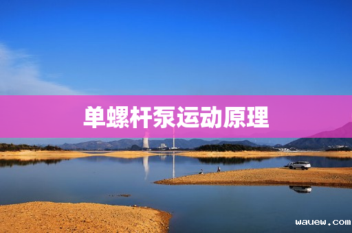 单螺杆泵运动原理 单螺杆泵运动原理