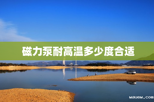 磁力泵耐高温多少度合适 磁力泵耐高温多少度合适