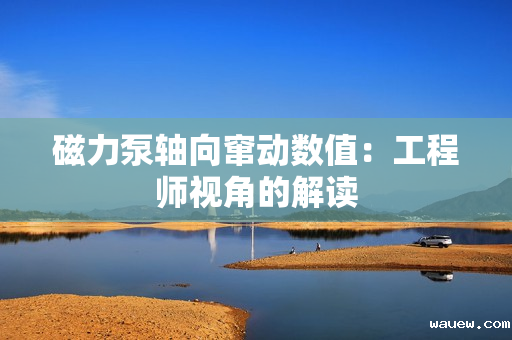 磁力泵轴向窜动数值:工程师视角的解读 磁力泵轴向窜动数值:工程师视角的解读