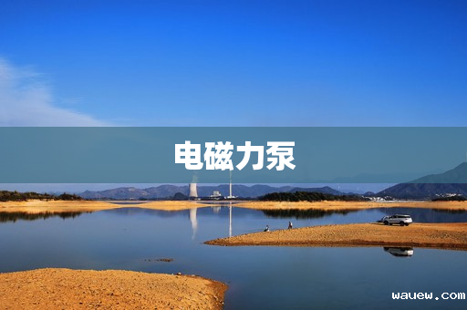 电磁力泵 电磁力泵