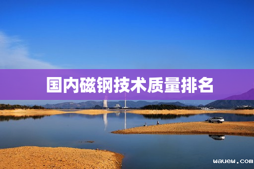 国内磁钢技术质量排名 国内磁钢技术质量排名