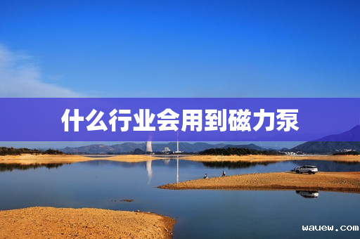 什么行业会用到磁力泵 什么行业会用到磁力泵