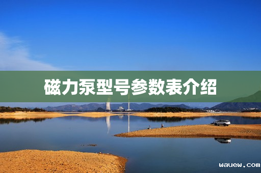 磁力泵型号参数表介绍 磁力泵型号参数表介绍