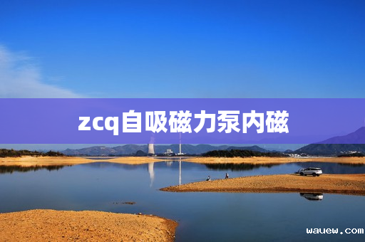 zcq自吸磁力泵内磁 zcq自吸磁力泵内磁