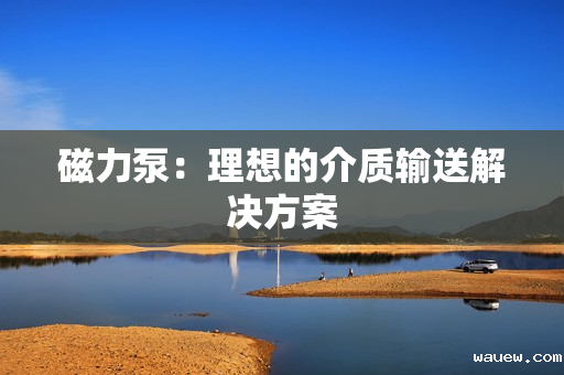 磁力泵:理想的介质输送解决方案 磁力泵:理想的介质输送解决方案